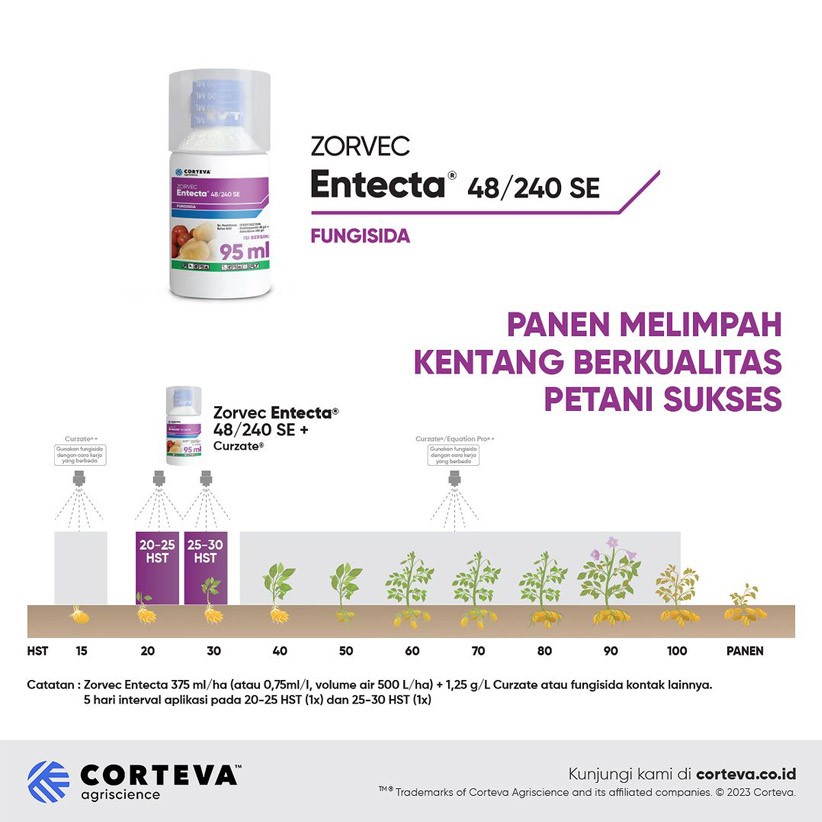 Entecta-4
