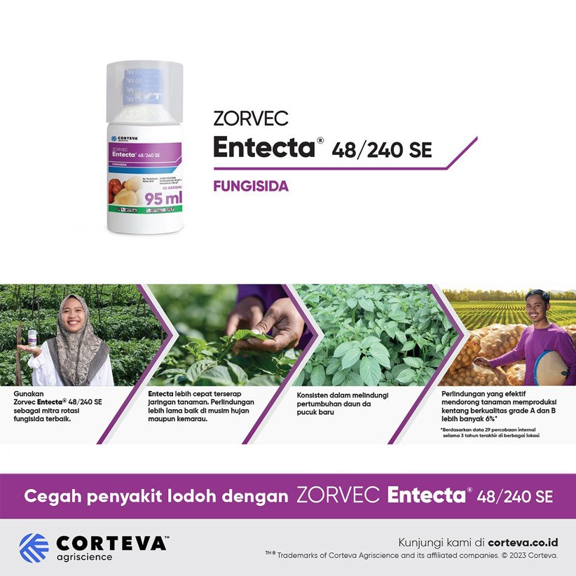 Entecta-6