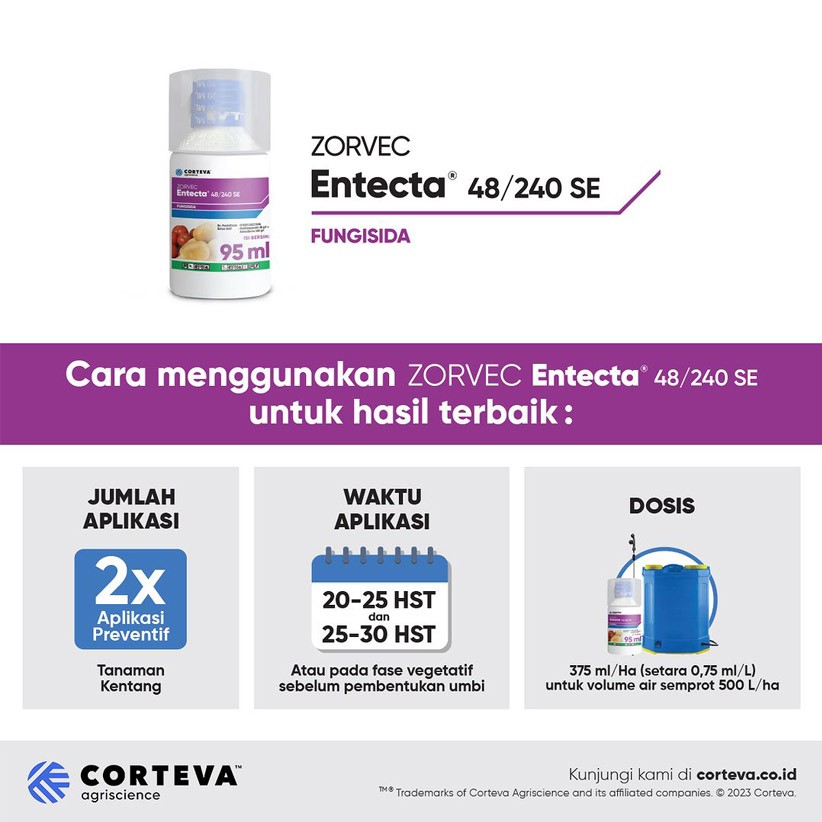 Entecta-3